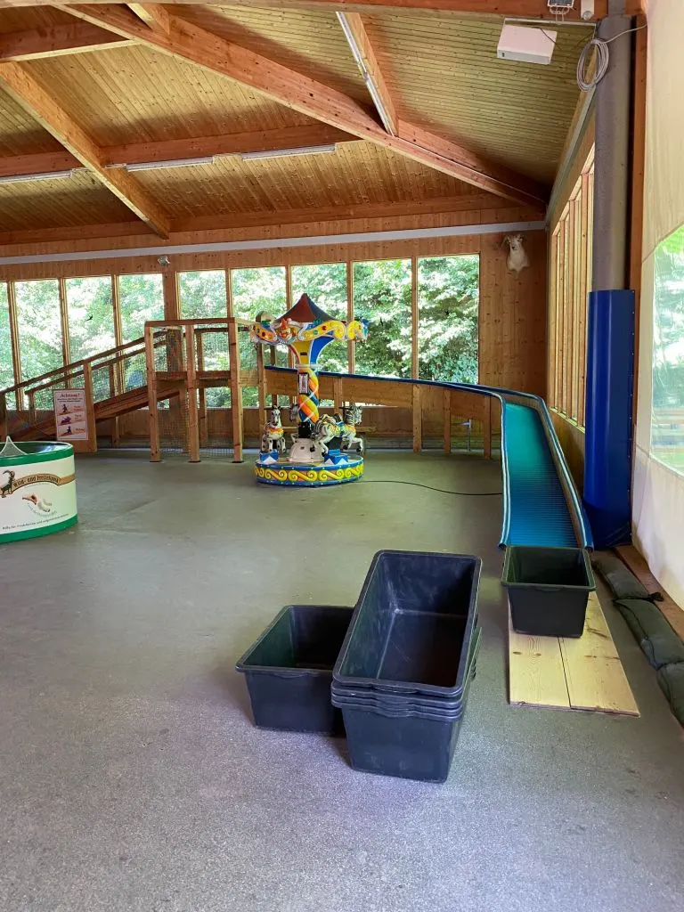 Klettercamp die wilde Kiste