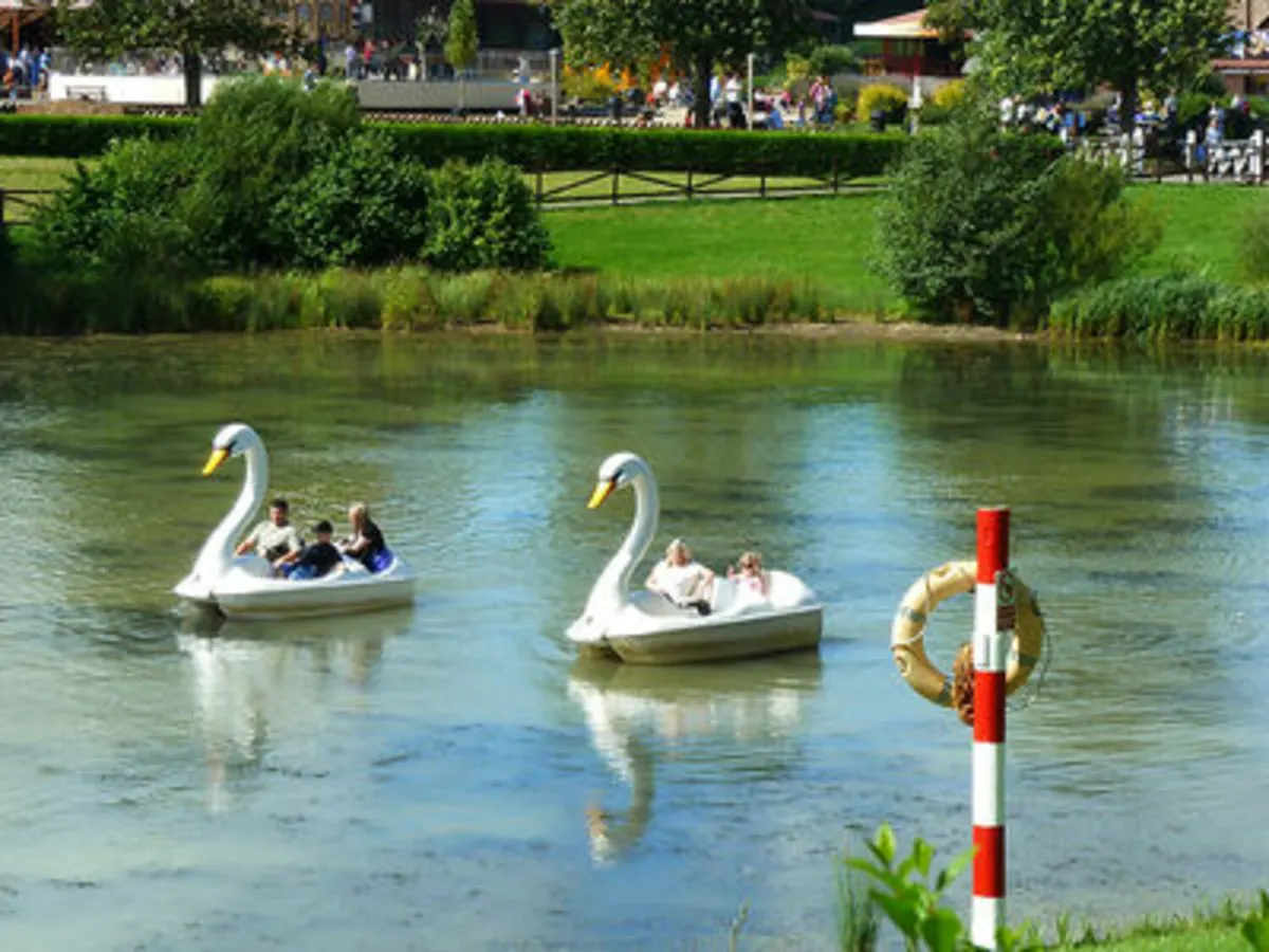 Swan Boats
