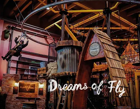 Dreams of Fly