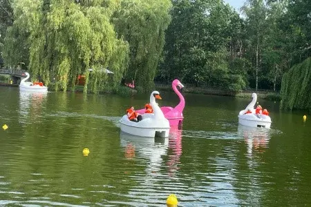 Tretboot-Safari