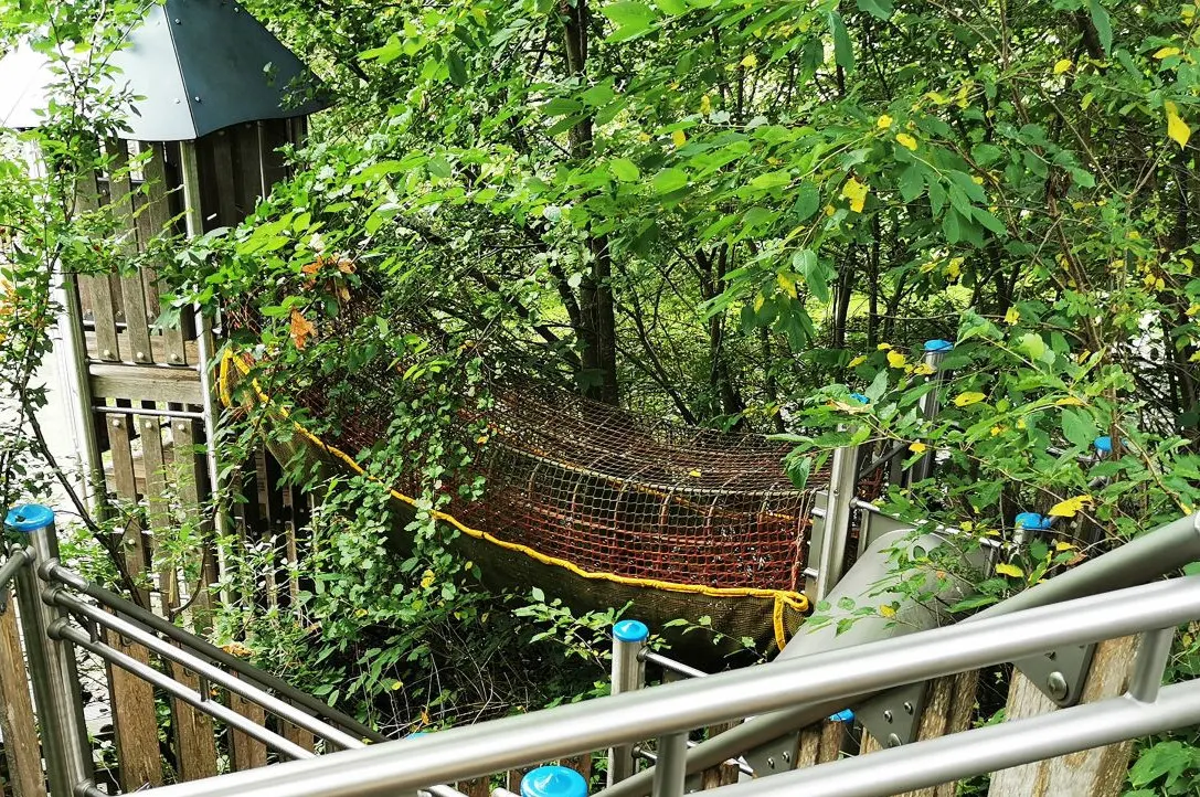 Baumwipfelpfad