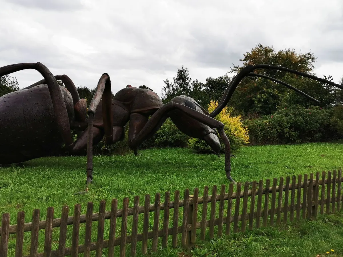 Rieseninsekten