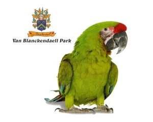 Van Blanckendaell Park