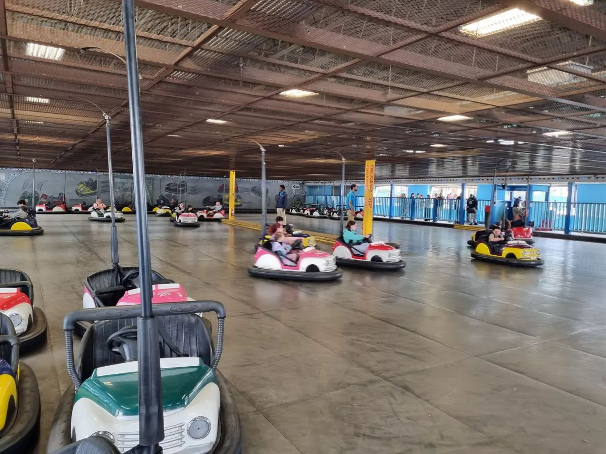 Bumper Cars