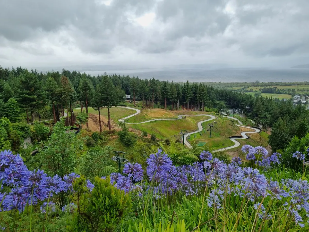 Luge Rotorua