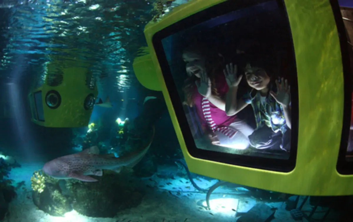 LEGO® City Deep Sea Adventure