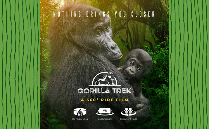 Gorilla Trek – A Virtual Reality Experience