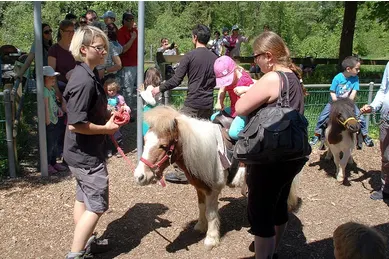 Ponyreiten