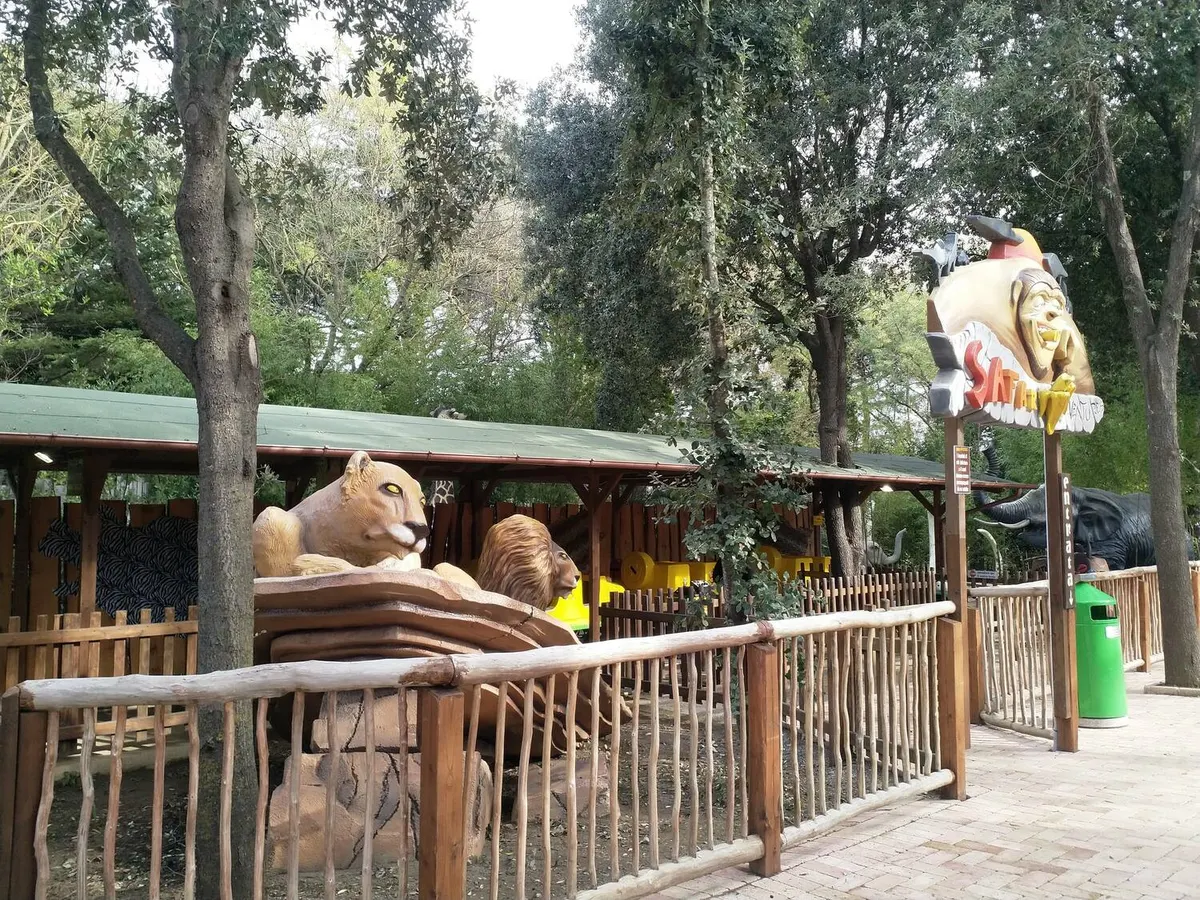 Safari Adventures Game