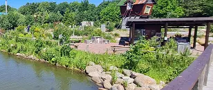 Golf Øen