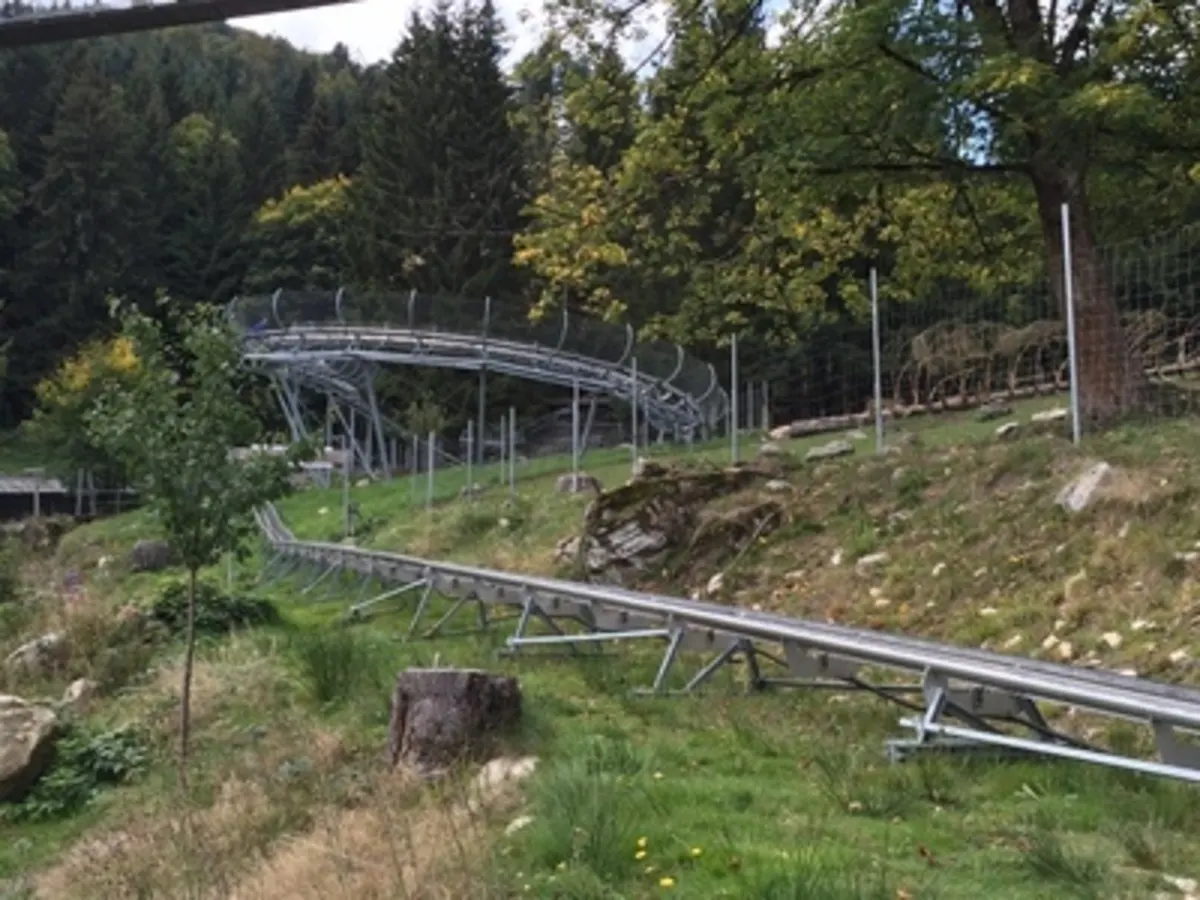 Alpine Coaster