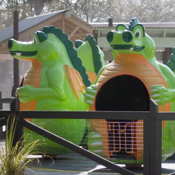 Flying Gators