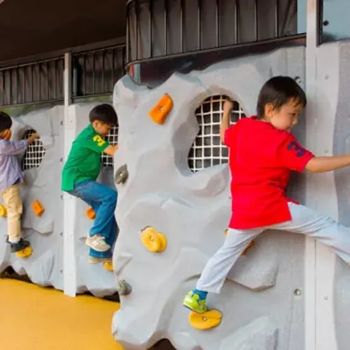 コール・ロッククライミング・ウォール / Cole's Rock Climbing Wall