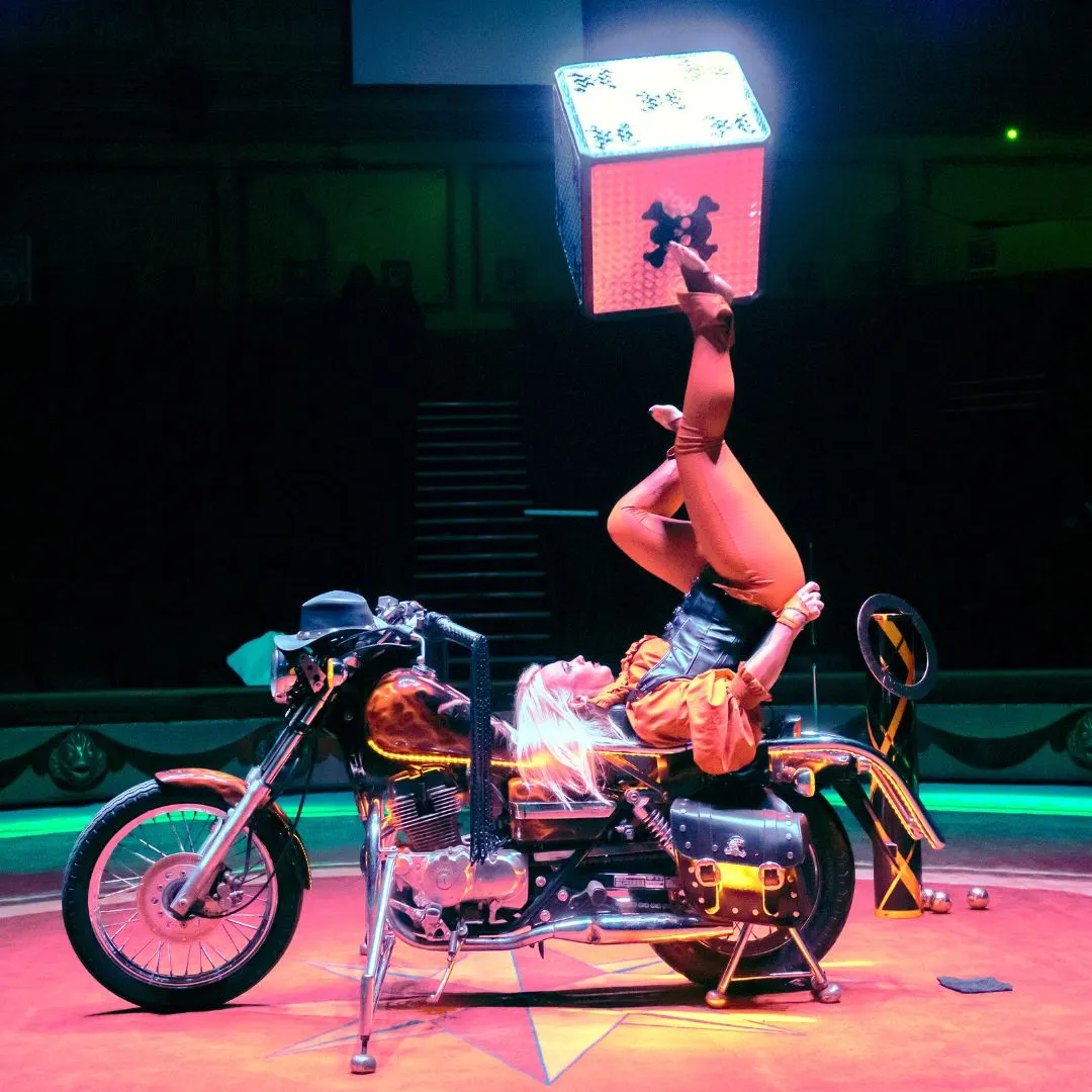 The Blackpool Tower Circus