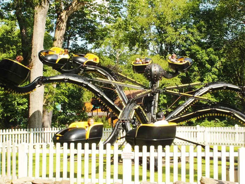Spider