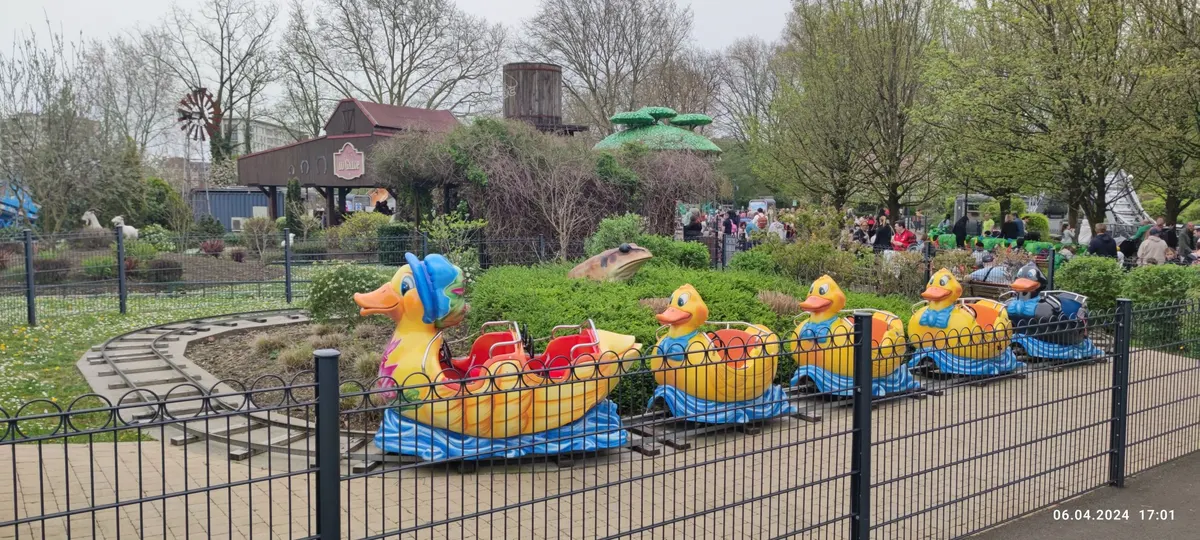 La famille canards