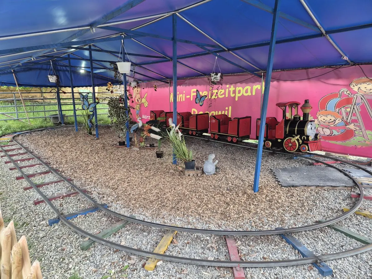 Mini Train