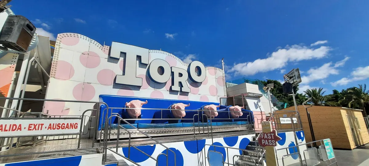 Toros
