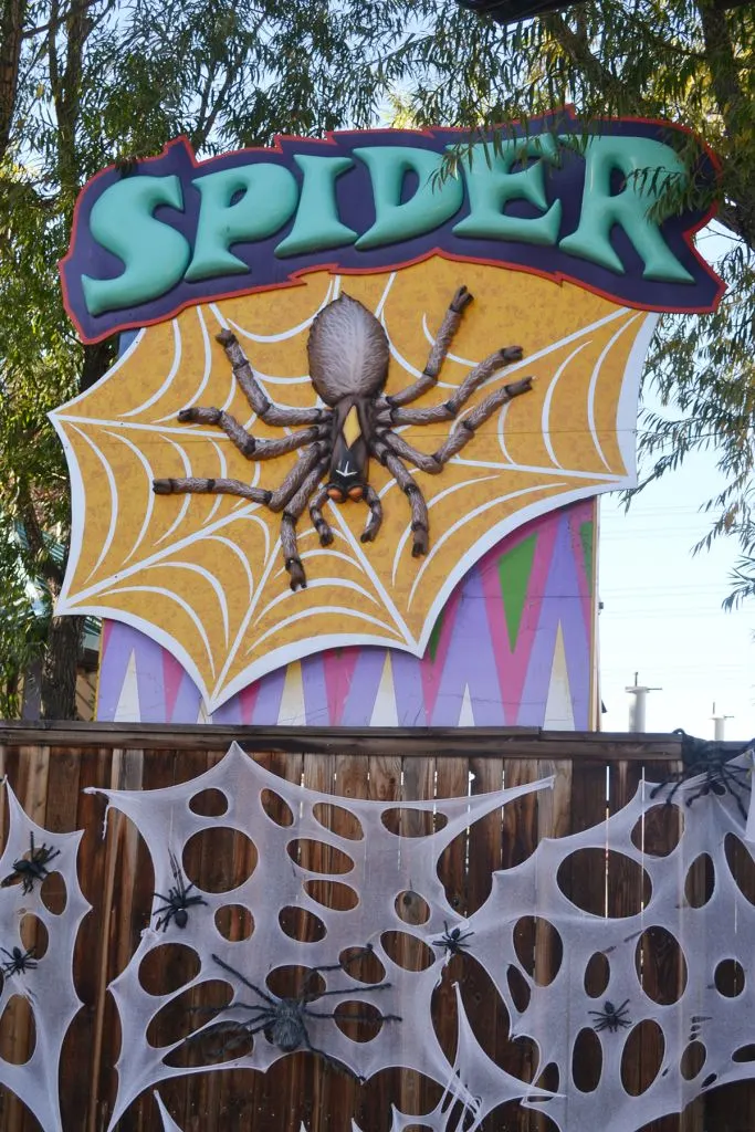 Spider