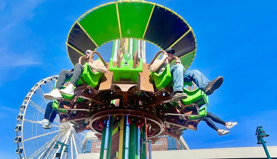 Tree Fall Drop Tower