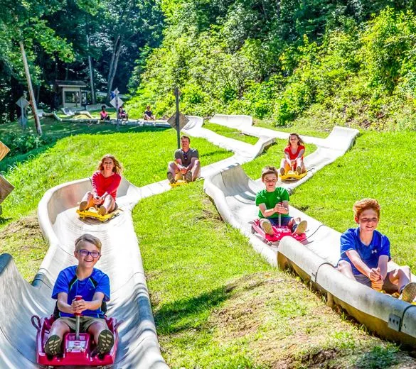 Alpine Slide