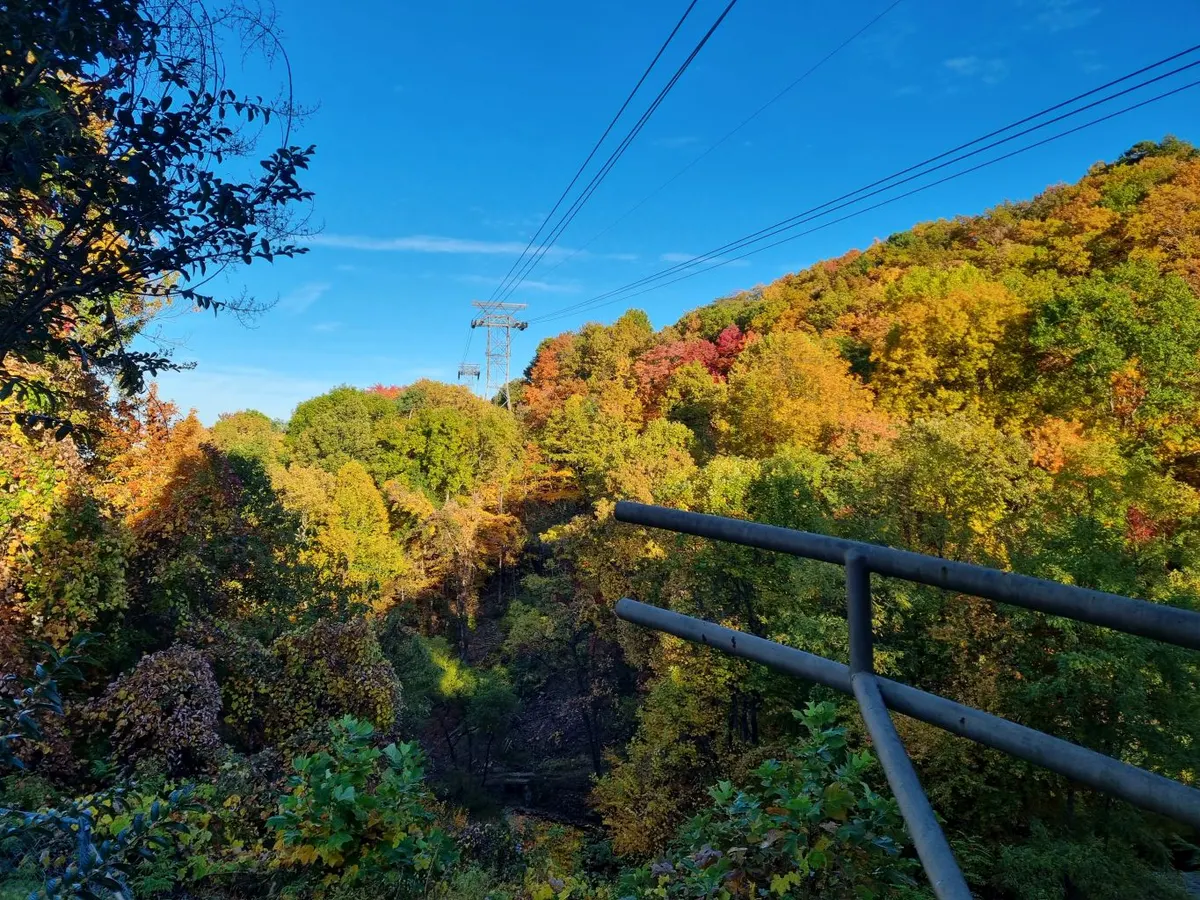 Scenic Chairlift