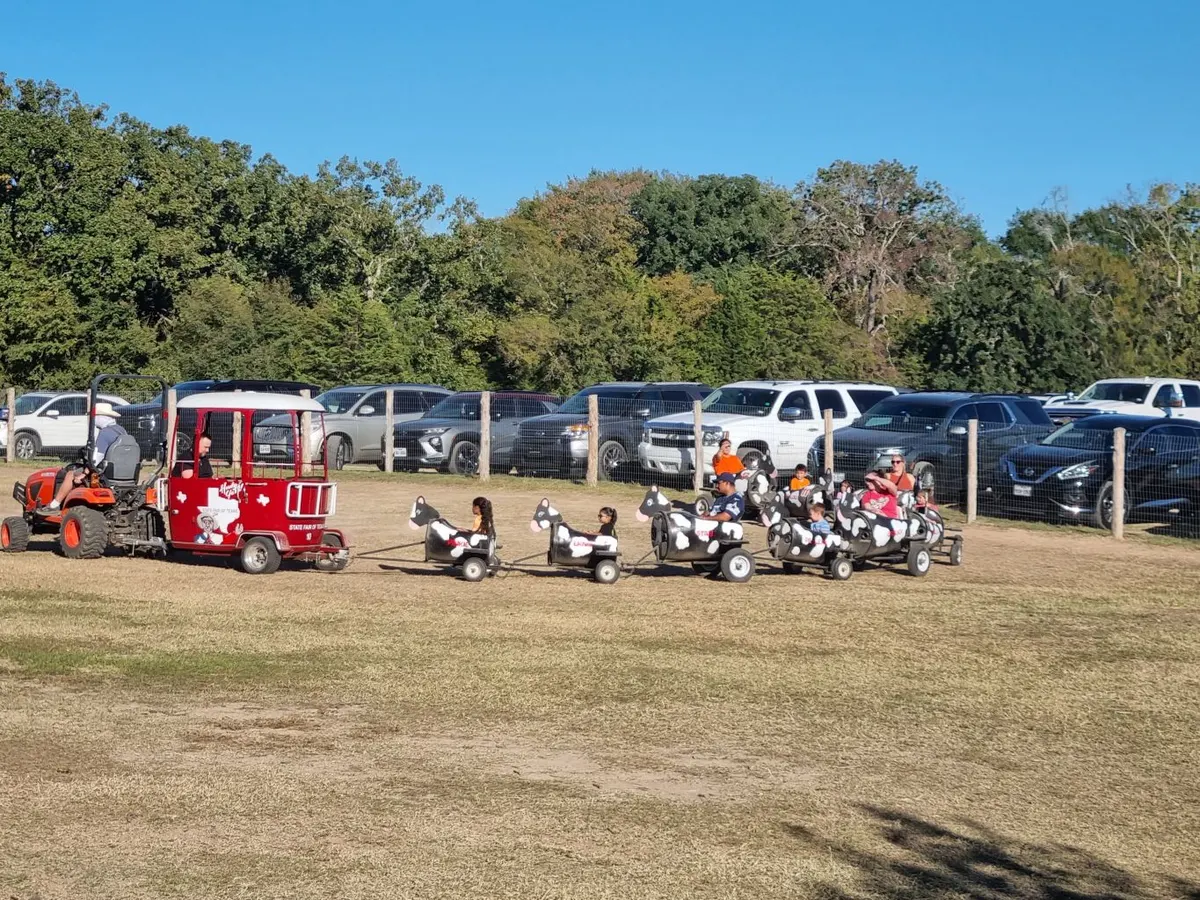 Cow Train