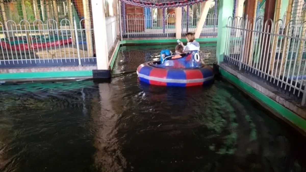 Bumper Boats