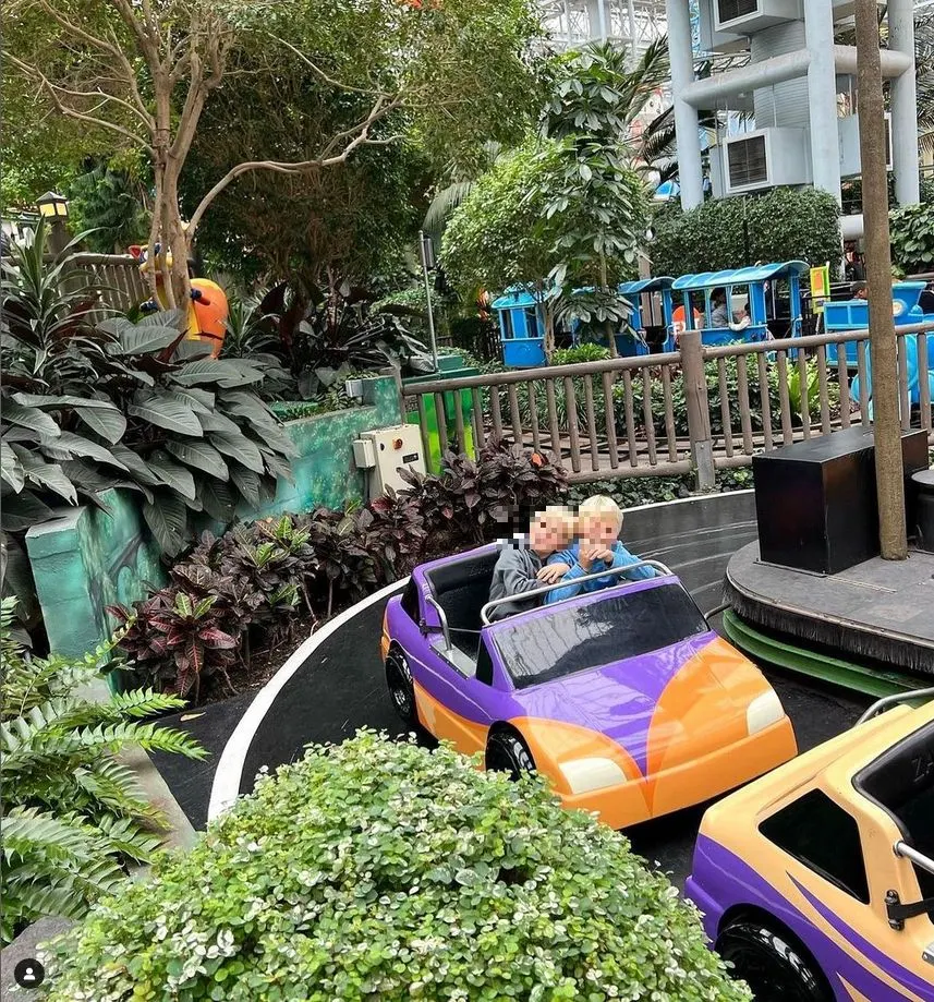 Swiper's Sweeper