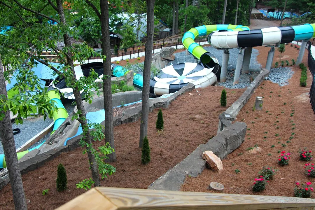 Python Plunge