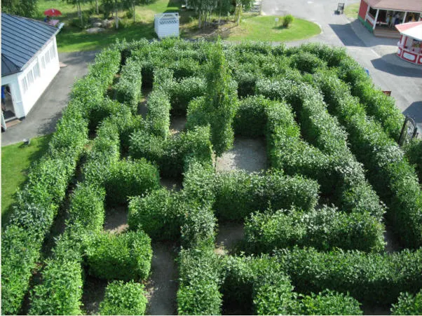 Pensas labyrintti