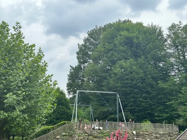 Seilschwingen