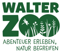 Walter Zoo