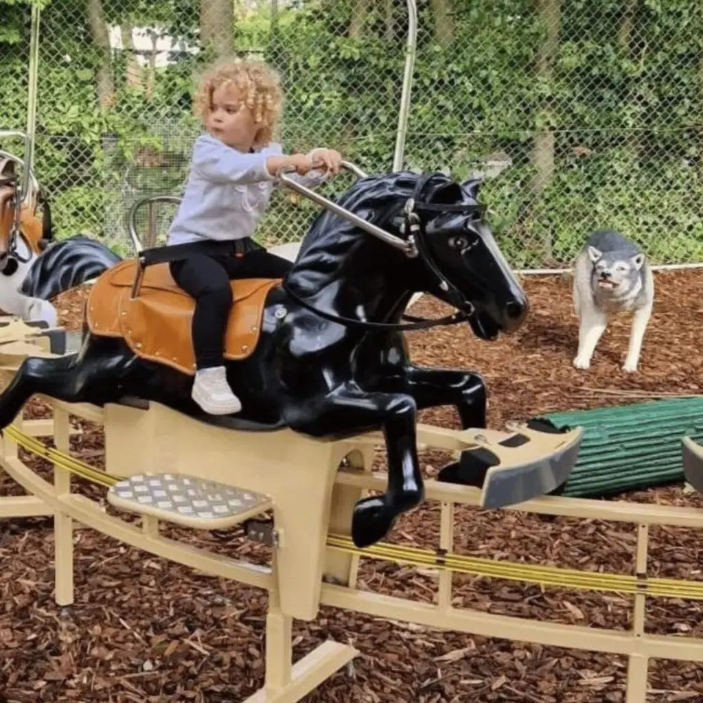 Pony Adventure