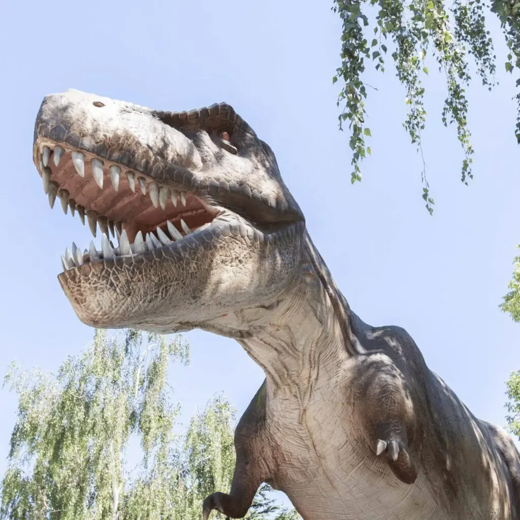 Dino Land
