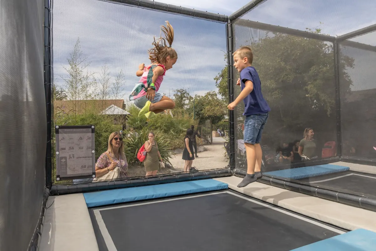 Trampolines