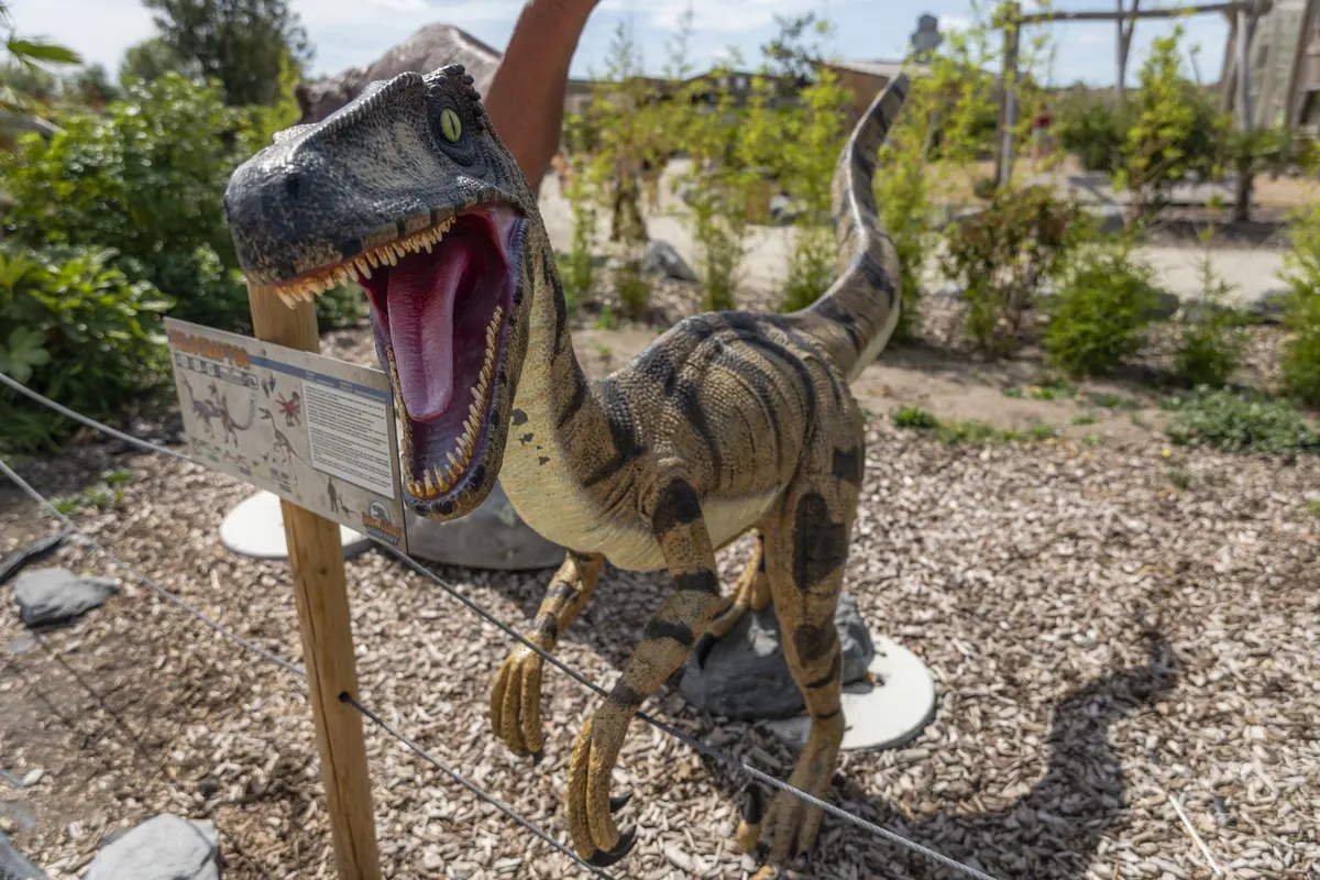 Dinosaurs Discovery