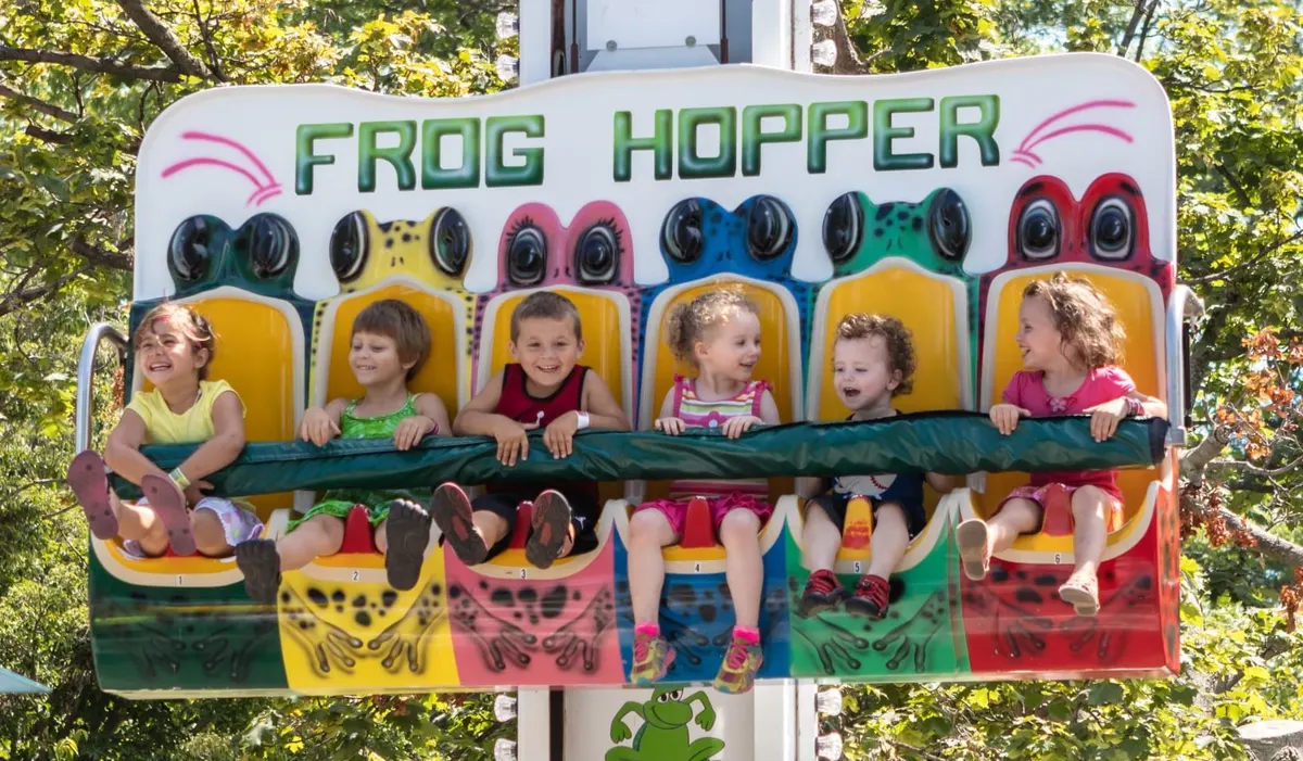 Frog Hopper