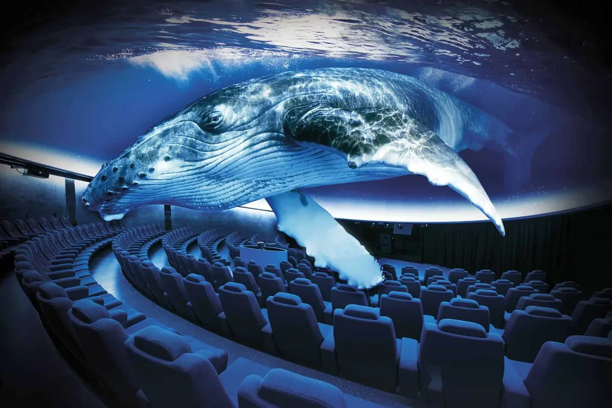 Cinema 3D Aquadome