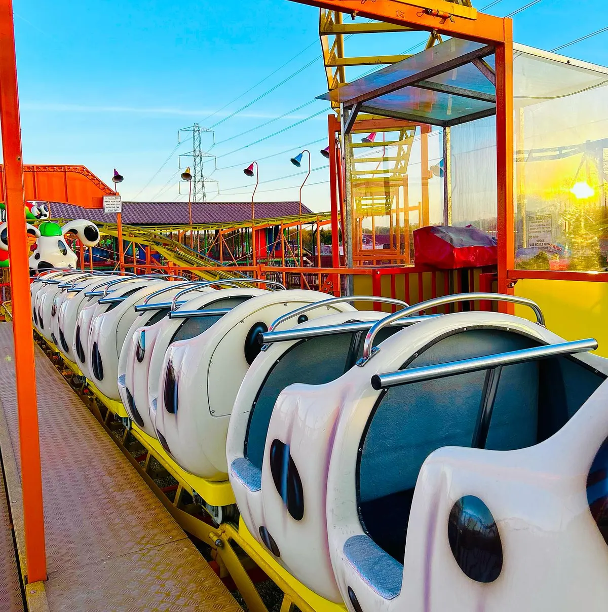 Doggy Dog Roller Coaster