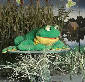 Bull Frog Trio - Animated Show