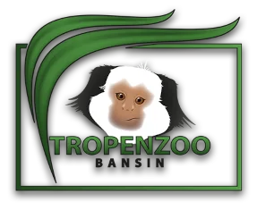 TropenZoo Bansin