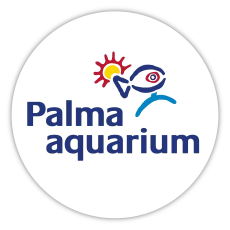Palma Aquarium