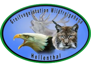 Greifvogelstation & Wildfreigehege Hellenthal