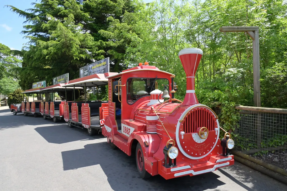 Lost Madagascar Road Train!