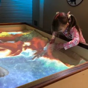 Discovery Den!