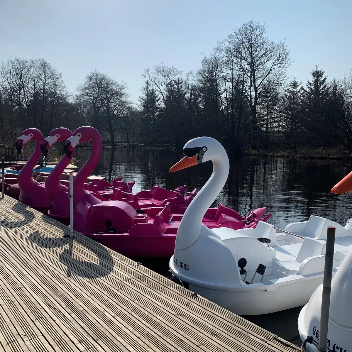 Pedal Boats