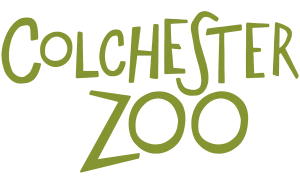 Colchester Zoo