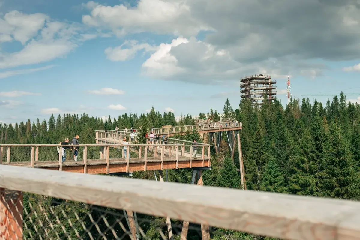 Chodník korunami stromov / Treetop Walk