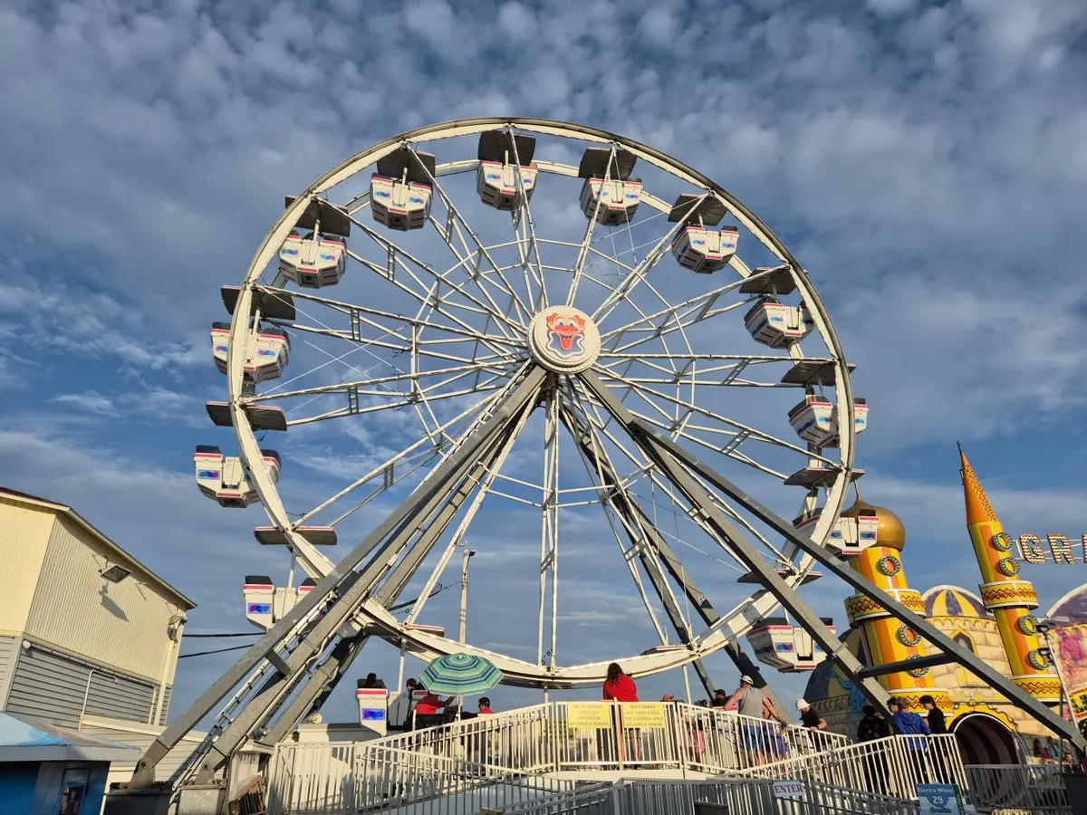 Electra Wheel